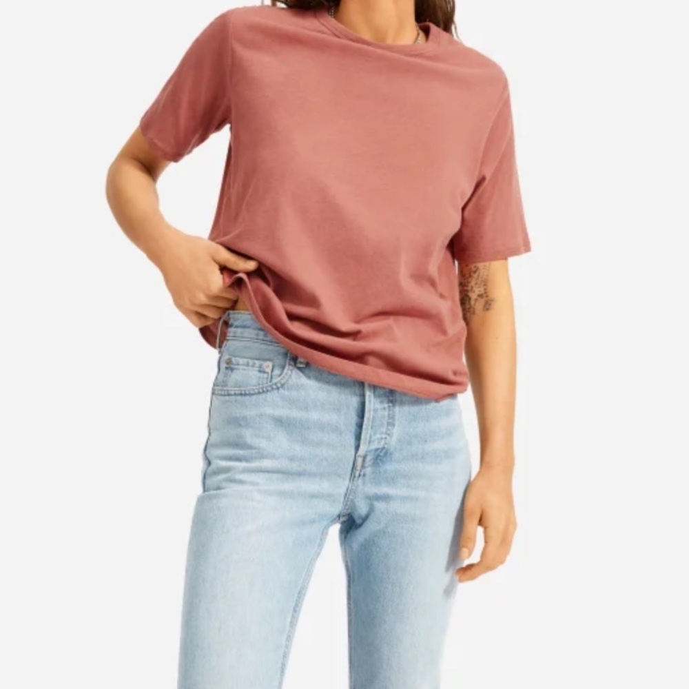 Everlane Air Oversized Crew Tee in Burnt Sienna (Pink)